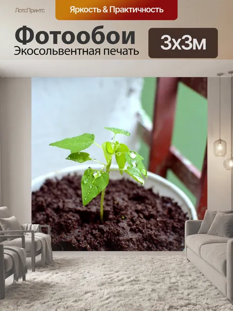 Фотообои Листья