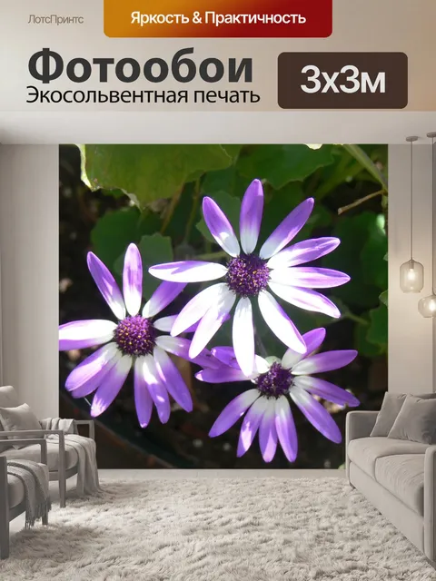 Фотообои Цветы