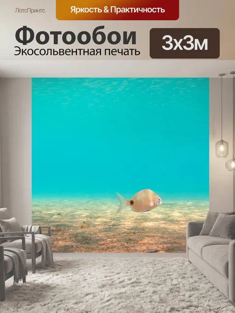 Фотообои Морские рыбы Подводные
