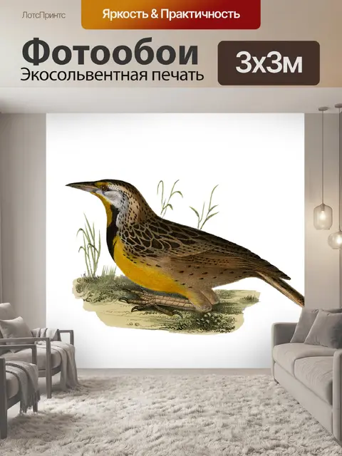 Фотообои Птица Винтаж Арт Плакат