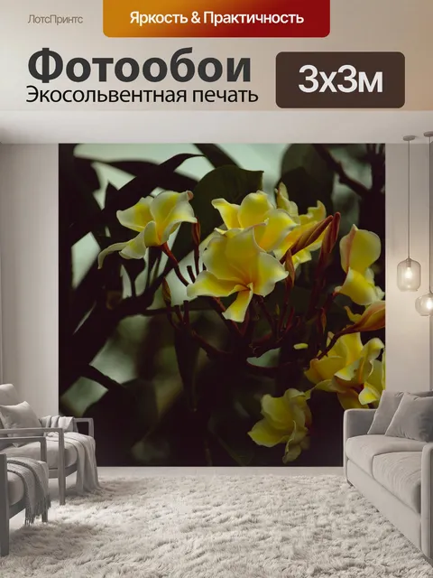 Фотообои Плюмерия