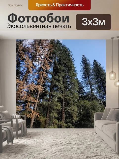 Фотообои Мертвое дерево