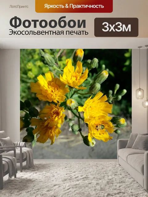 Фотообои Цветы