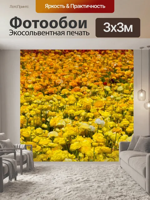 Фотообои цветы лютика,