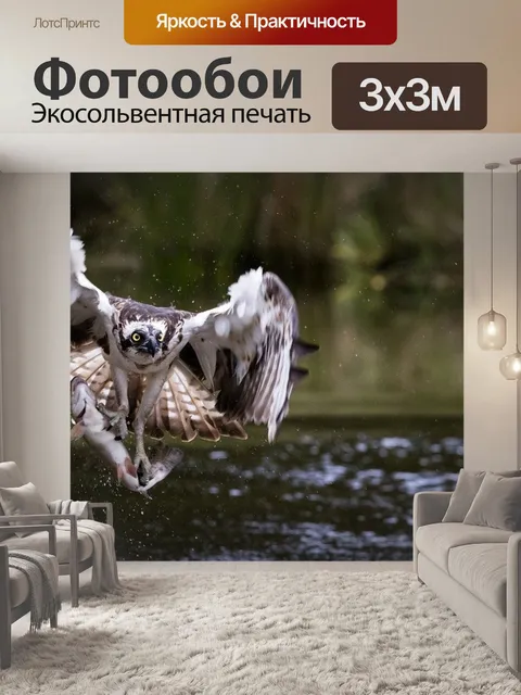 Фотообои Скопа