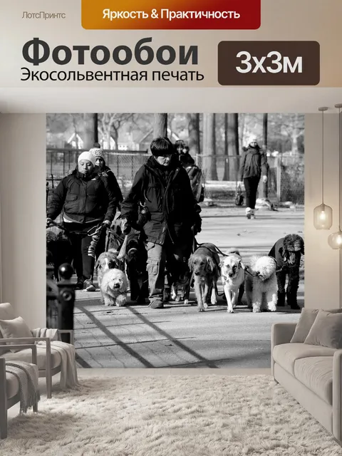 Фотообои Парк