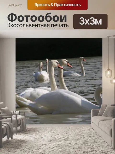 Фотообои Лебеди