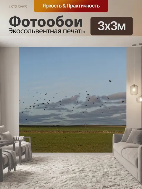Фотообои Стая птиц