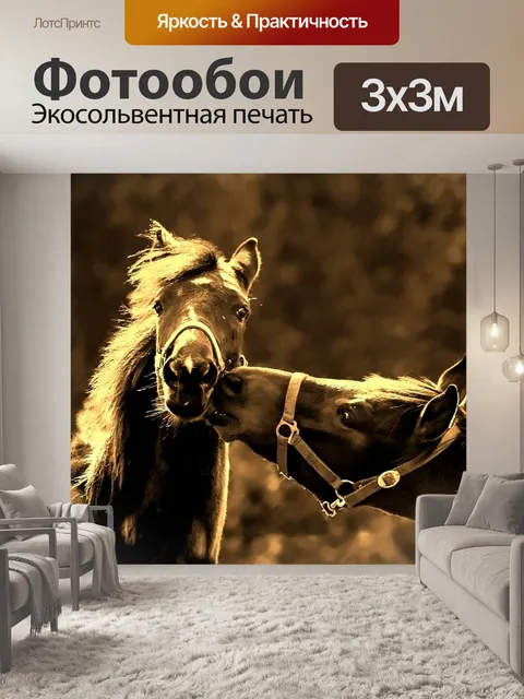 Фотообои Лошади