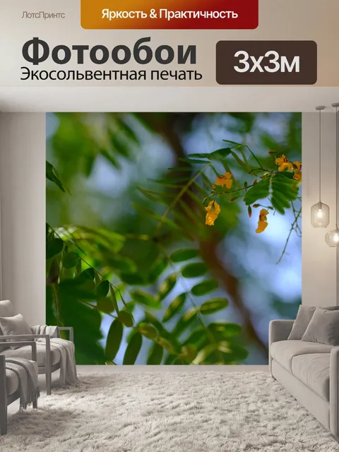 Фотообои Природа