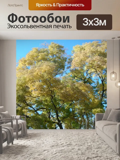 Фотообои Деревья осенью