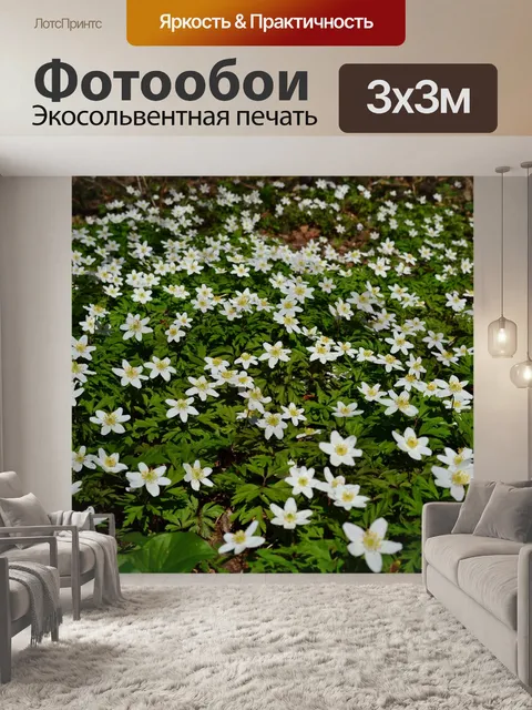 Фотообои Древесные анемоны