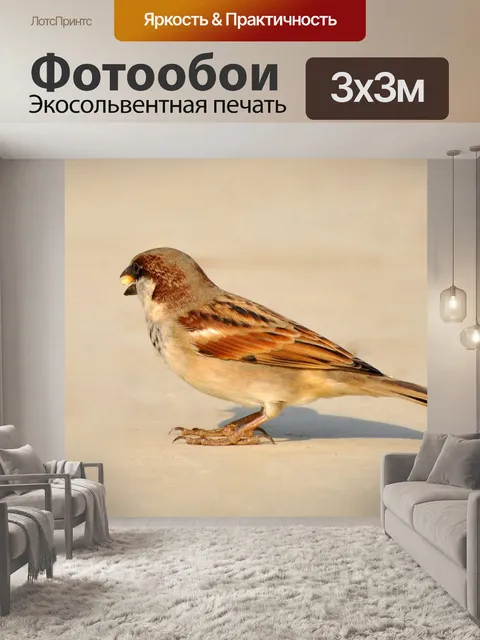 Фотообои Воробей