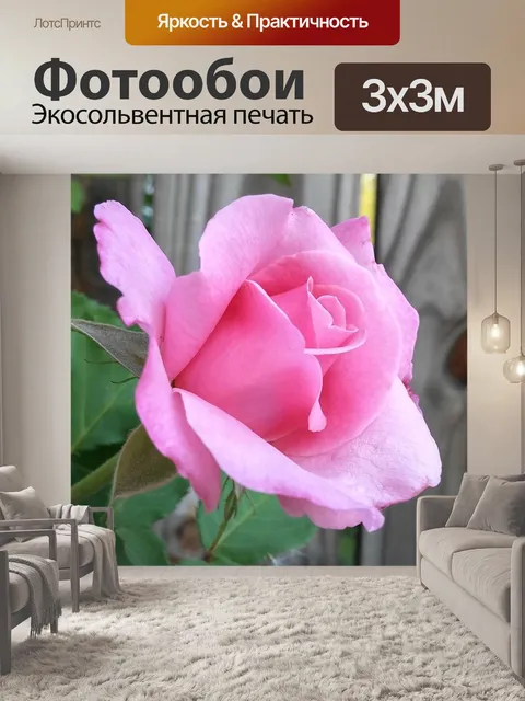 Фотообои Цветок