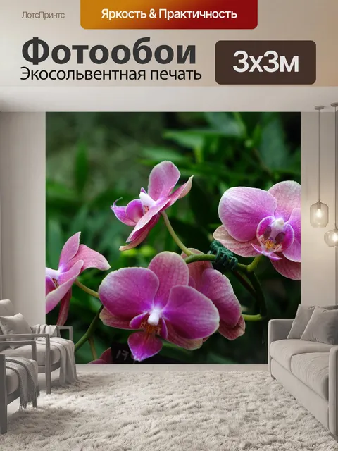 Фотообои Орхидеи