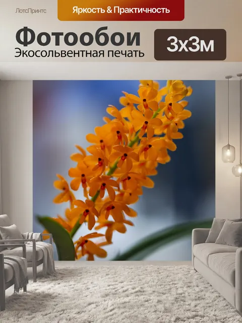 Фотообои Орхидеи