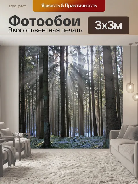 Фотообои Лес