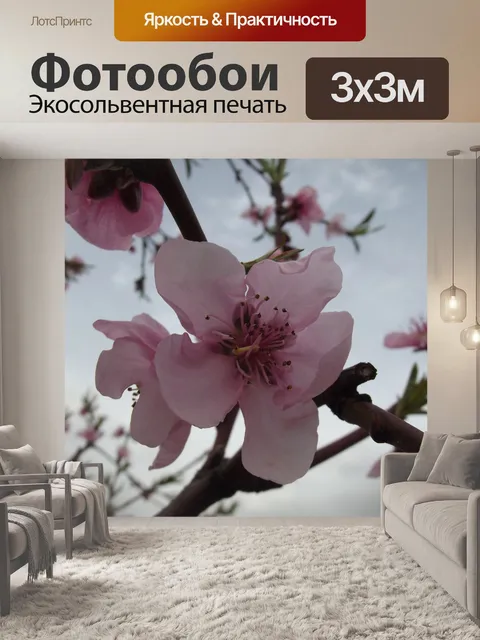 Фотообои Персик Цветы