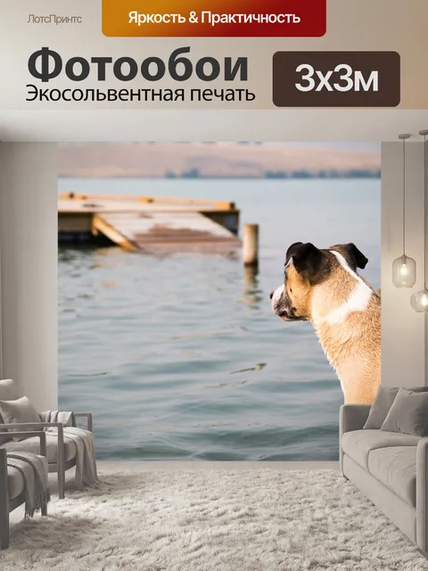 Фотообои Собака