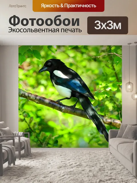 Фотообои Сорока