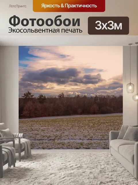 Фотообои Леса