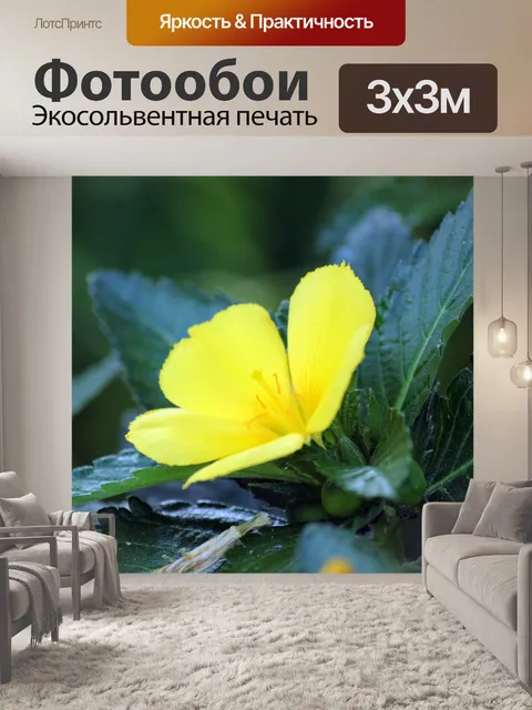 Фотообои желтый цветок 3