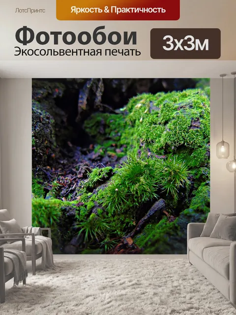 Фотообои Мох