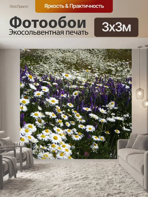 Фотообои Ромашки