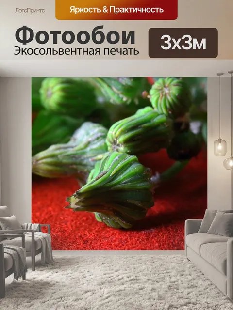 Фотообои бутоны одуванчика на красной ткани