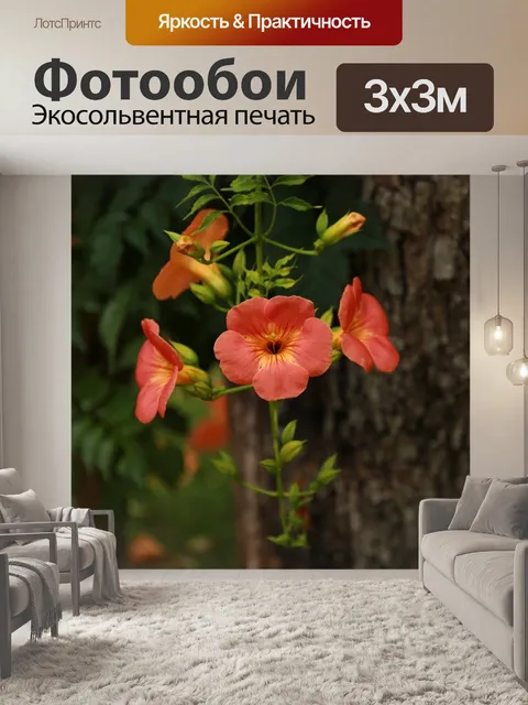 Фотообои Кампсис