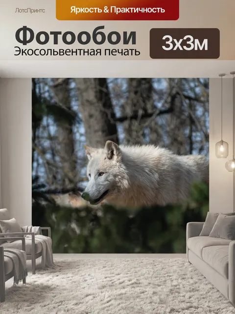Фотообои Волк