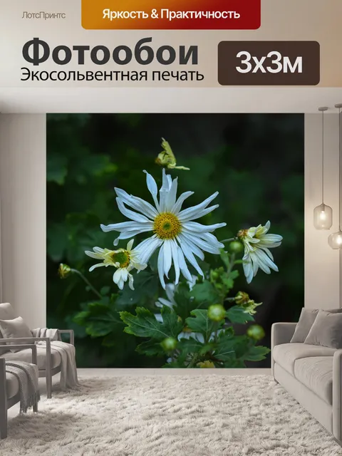 Фотообои Цветы