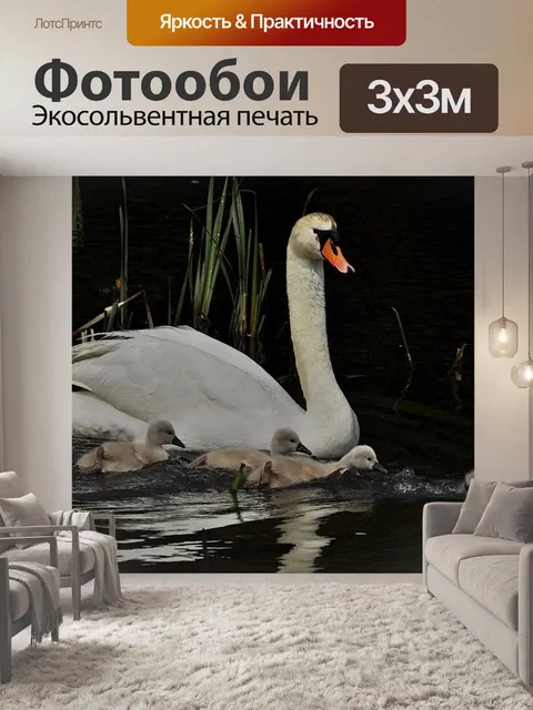 Фотообои Птица
