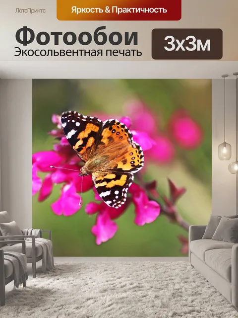 Фотообои Бабочка