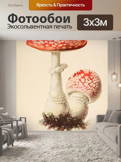 Фотообои Винтажная иллюстрация грибов чемпиона