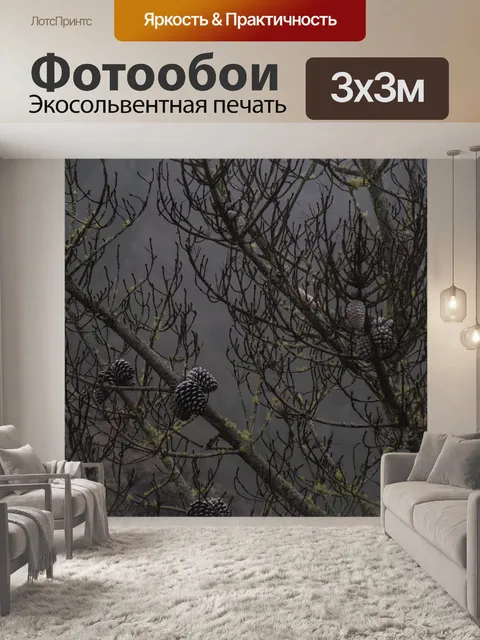 Фотообои Сосновые шишки на ветвях