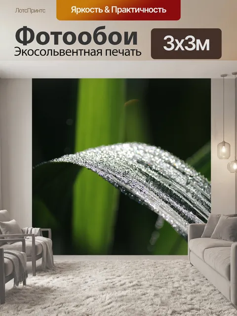 Фотообои Растительность
