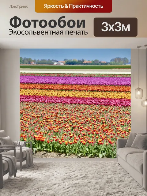 Фотообои Тюльпаны