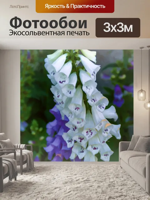 Фотообои Фоксы перчаток