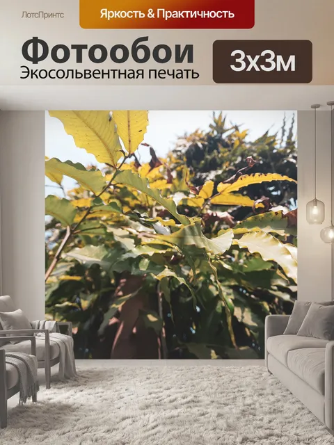 Фотообои Листья