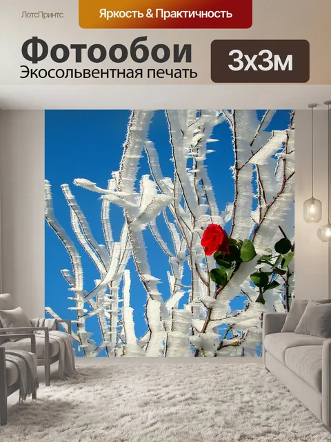 Фотообои Роза
