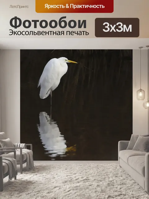 Фотообои Цапля