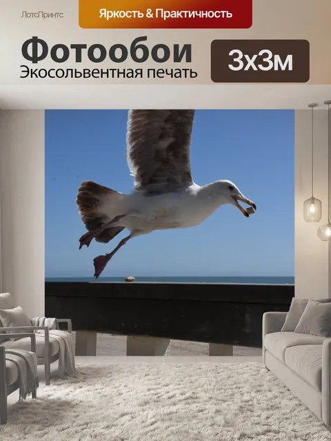 Фотообои чайка