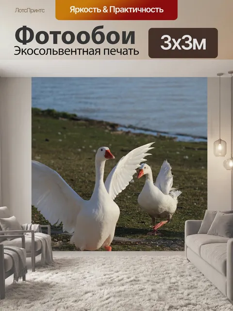 Фотообои Гуси