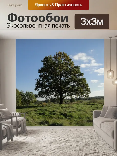 Фотообои Осень