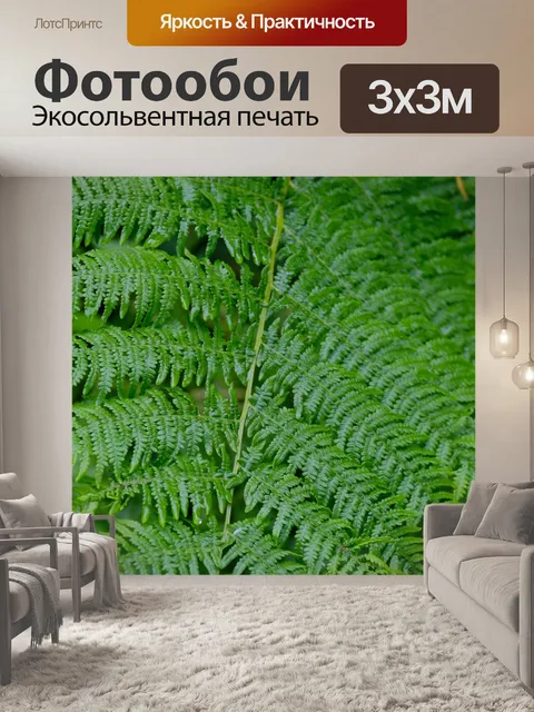 Фотообои Мужской лист папоротника
