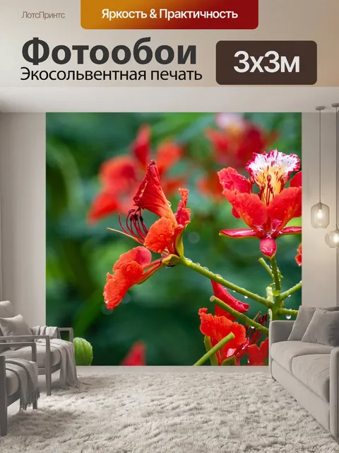 Фотообои Цветы