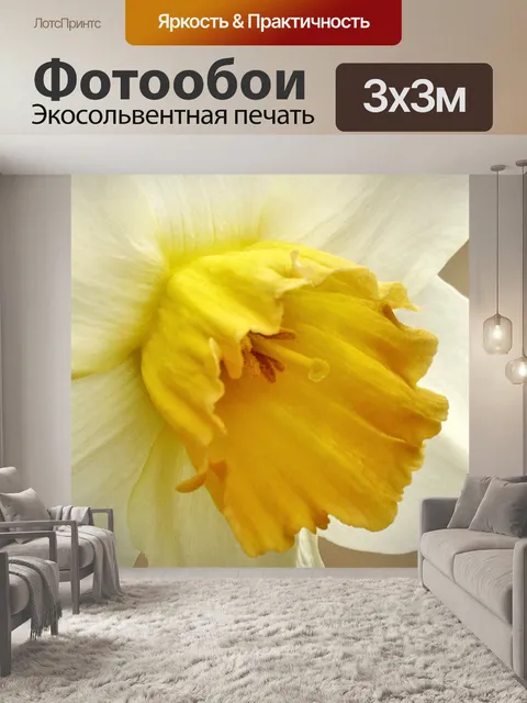 Фотообои Белый нарцисс Макро