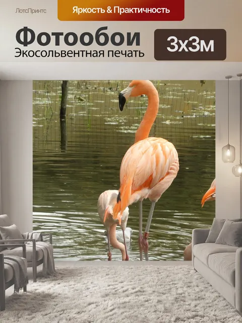Фотообои Фламинго