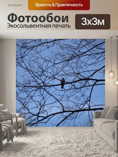 Фотообои Птица
